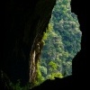 Borneo - Gunung Mulu - Deer Cave o1681